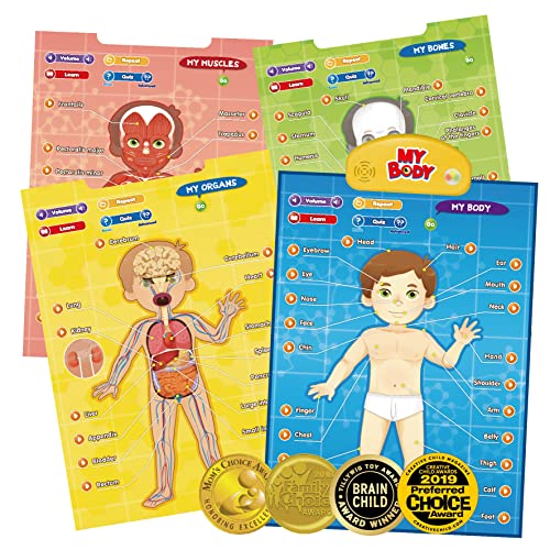 BEST LEARNING i-Poster mi Cuerpo - Juego Educativo Interactivo de anatomía Humana para Aprender Partes del Cuerpo, órganos, músculos y Huesos para niños de 5 a 12 años (Versión en inglés)