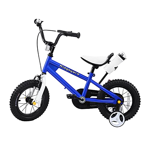 Bicicleta infantil MuGuang de 12 pulgadas, para niños y niñas, con botella para 3-6 años (azul)