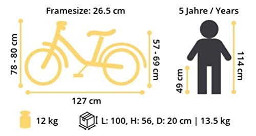 BIKESTAR Bicicleta Infantil Aluminio para niños y niñas a Partir de 5 años | Bici de montaña 18" Pulgadas con Freno en V | Mentha