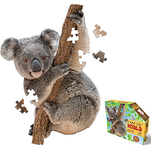 Carletto Deutschland-884020 MADD CAPP-Puzle Infantil de Contorno Koala, 100 Piezas XL, para Adultos y niños a Partir de 5 años 884020