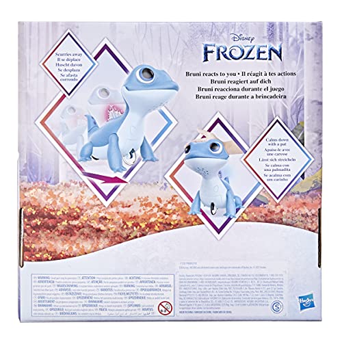 Disney Frozen 2-Bruni F15585L1, multicolor