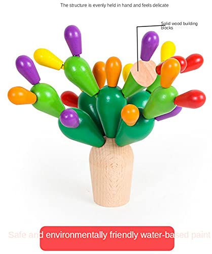 DZC Cactus de Madera para niños, Sensor Educativo único Toysoween Arco Iris Apilado Planta de Cactus con Bolsa de Almacenamiento Eco, Mejores Regalos para niños