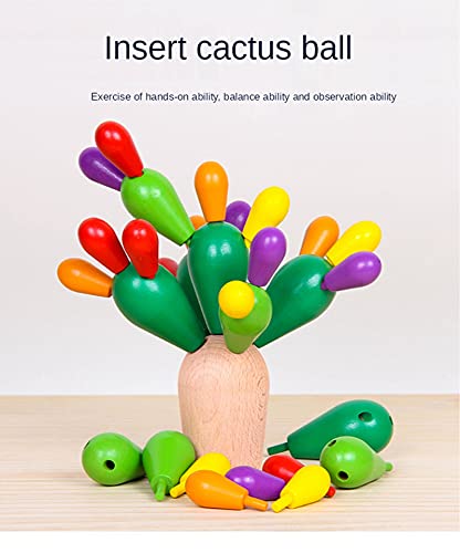 DZC Cactus de Madera para niños, Sensor Educativo único Toysoween Arco Iris Apilado Planta de Cactus con Bolsa de Almacenamiento Eco, Mejores Regalos para niños