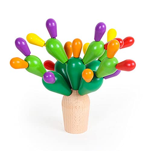 DZC Cactus de Madera para niños, Sensor Educativo único Toysoween Arco Iris Apilado Planta de Cactus con Bolsa de Almacenamiento Eco, Mejores Regalos para niños