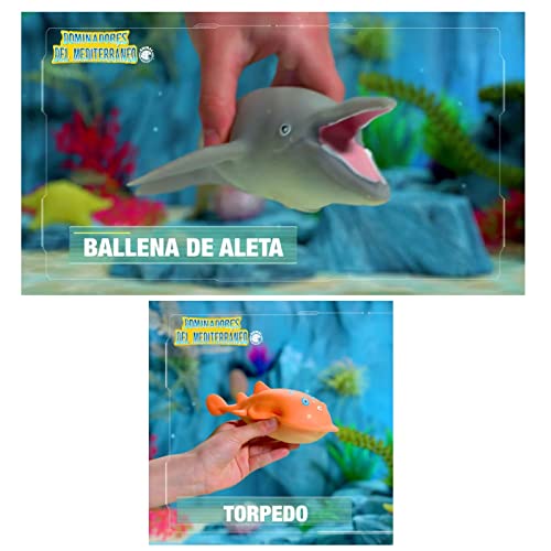 Expositor 12 Sobres Dominadores del Mediterráneo, Juguete Animales para niños y niñas. Regalo Cumpleaños, Navidad, Reyes.