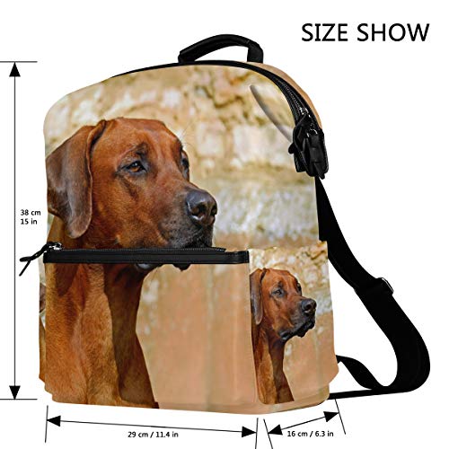 FAJRO Mochila de Viaje para Perro, diseño de Perro rodesiano