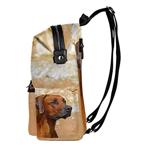 FAJRO Mochila de Viaje para Perro, diseño de Perro rodesiano