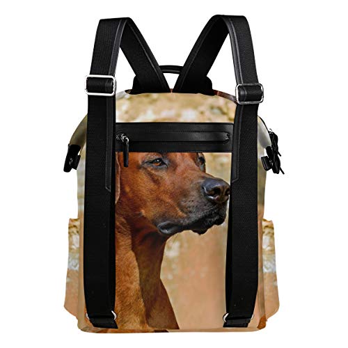 FAJRO Mochila de Viaje para Perro, diseño de Perro rodesiano