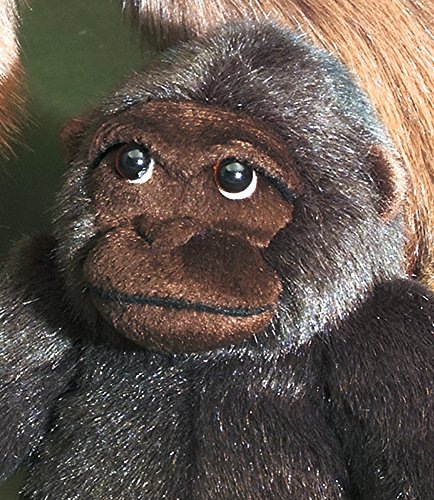 FÖRSTER 1722 Gorilla - Gorilla pequeña (20 cm)