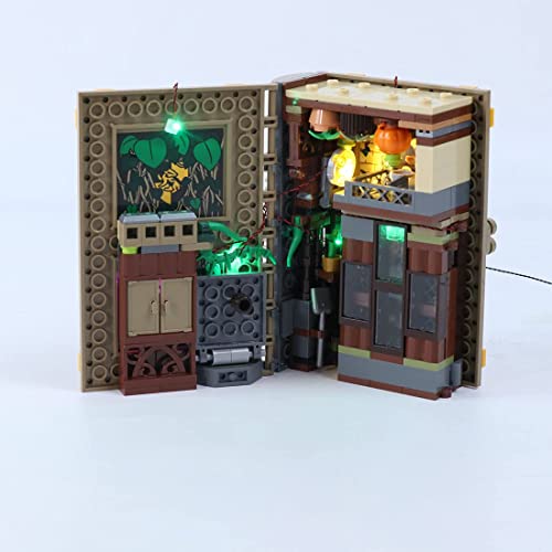 FZXL Kit de iluminación LED compatible con Lego Harry Potter Hogwarts Moment: Herbology Class 76382 (LED incluido, sin kit Lego) (clase de herbología)