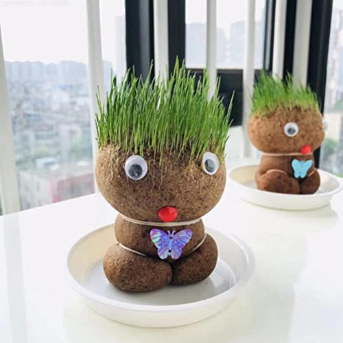 GDZTBS Cabeza de Césped Muñeca de Muñecas Kit de Cultivo Mini Hierba Cabello Cultivar Juguetes Educación Juguetes Bonsai Head Hierba Muñeca Planta Jardín DIY Regalos para Niños