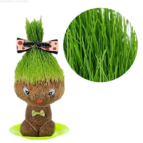 GDZTBS Cabeza de Césped Muñeca de Muñecas Kit de Cultivo Mini Hierba Cabello Cultivar Juguetes Educación Juguetes Bonsai Head Hierba Muñeca Planta Jardín DIY Regalos para Niños