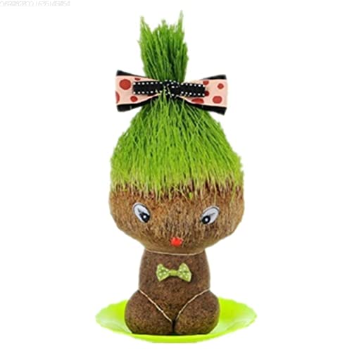 GDZTBS Cabeza de Césped Muñeca de Muñecas Kit de Cultivo Mini Hierba Cabello Cultivar Juguetes Educación Juguetes Bonsai Head Hierba Muñeca Planta Jardín DIY Regalos para Niños