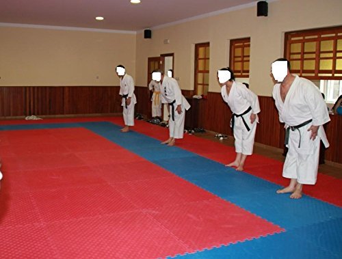 Grupo Contact Lote 2 MTS. Suelo Tatami, Colores (Rojo/Azul) de 2 cmts.