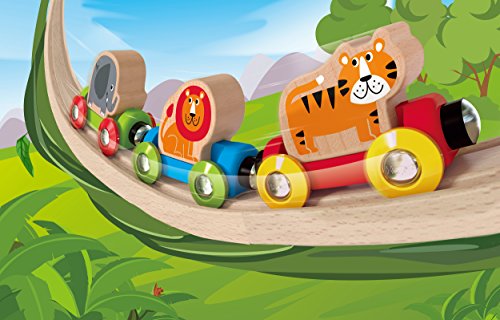 Hape Journey Train Tren Animales Jungla, Multicolor (Barrutoys E3807)