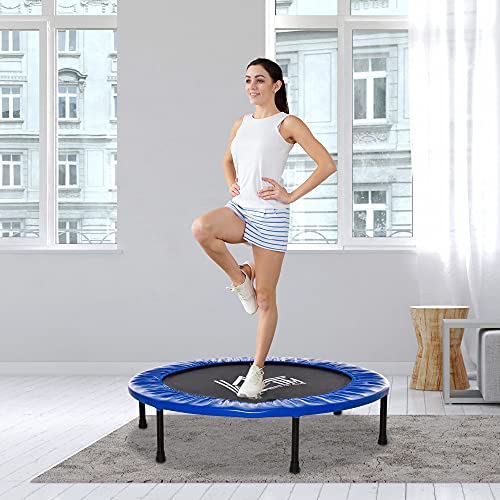 HOMCOM Cama Elástica Fitness Ø100 cm Trampolín de Acero con 36 Resortes con Protector de Borde Incluido para Entrenamiento Interior Carga Máx. 100 kg Negro y Azul