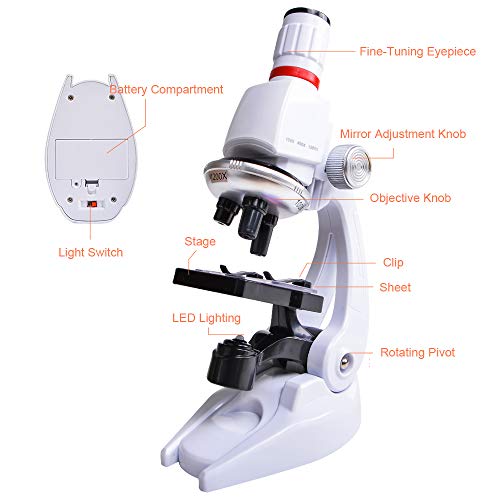 HONPHIER® Microscopio Niños Microscopio Kit Scienza Microscopio Bambini 100x 400x 1200x Microscopio Kit de Juguete para Niños