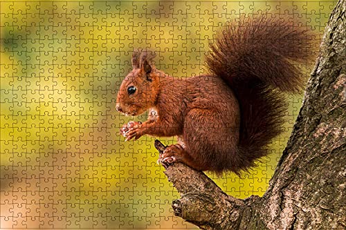 LHJOY Maravilloso Desastre Puzzle 1000 Piezas Ardilla Pelirroja niña Tronco árbol Animales Regalo de cumpleaños 75x50cm