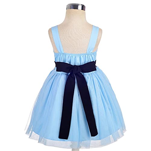 Lito Angels Disfraz de Alicia en el País de las Maravillas con Aro de Pelo para Niñas Pequeñas, Vestido de Tul de Verano con Delantal Blanco, Talla 2-3 años, Azul