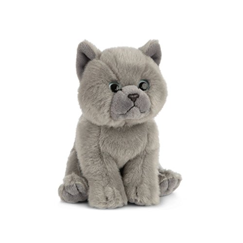 Living Nature-AN447 Living Nature AN447-Peluche de gato corto de peluche para mascotas, gris, color desconocido (Keycraft AN447) , color/modelo surtido