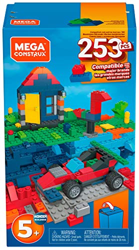 Mega Construx Wonder Builders - Caja de construcción (250 Piezas)