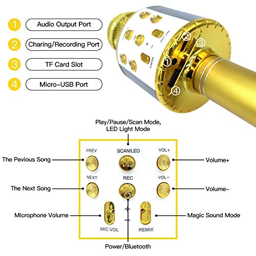 Micrófono inalámbrico Karaok, 4 en 1 máquina portátil de karaoke con altavoz portátil Bluetooth, reproductor KTV doméstico con función de grabación (GOLD)