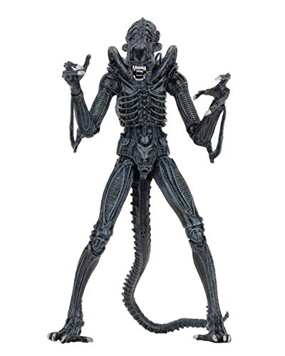 NECA Alien Azul Ultimate Warrior 1986 23 cm Scale Action Figure Aliens, Multicolor (NEC0NC51647)