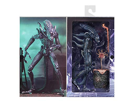 NECA Alien Azul Ultimate Warrior 1986 23 cm Scale Action Figure Aliens, Multicolor (NEC0NC51647)