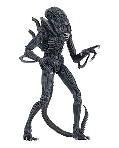 NECA Alien Azul Ultimate Warrior 1986 23 cm Scale Action Figure Aliens, Multicolor (NEC0NC51647)