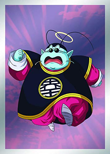 Panini France SA-Dragon Ball Super 2, 003744KBF21