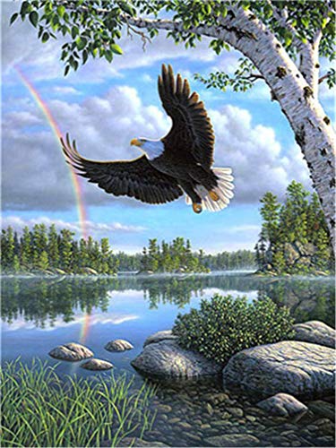 Pintura por Números para Adultos y NiñosSin marco _ Eagle lago arcoírisSin marcoDibujos para Pintar con Números,DIY Pintura al Óleo por NúmerosSin marcoDecoración del Hogar,Sin marco40x50cmSin marco _