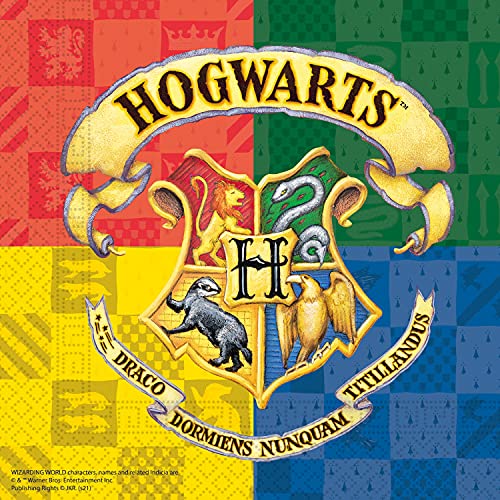 Procos 93366 - Servilletas de papel (25 x 25 cm), diseño de Harry Potter