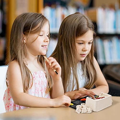 Repple Kit de excavación de Piedras Preciosas, Herramienta de minería de Gemas, Abre y descubre 12 Piedras únicas, Juguetes educativos de cumpleaños, Vacaciones de Navidad, Regalos para niños