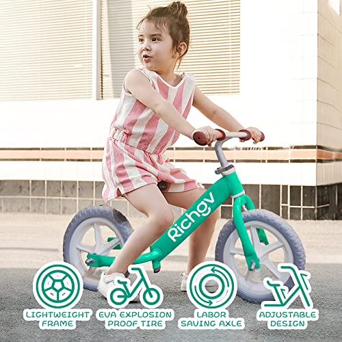 Richgv Bicicleta para niños sin Pedales Bicicleta de Equilibrio Ultraligera Equilibrio de Ejercicio para bebés pequeños con Manillar y sillín Ajustables para niños de 2 a 5 años Regalo