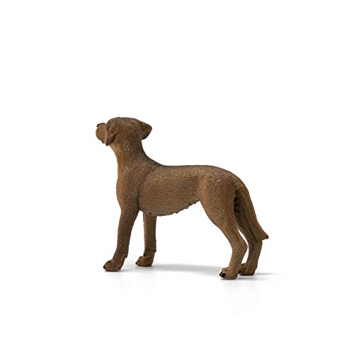 Schleich - Rhodesian Ridgeback (13895)