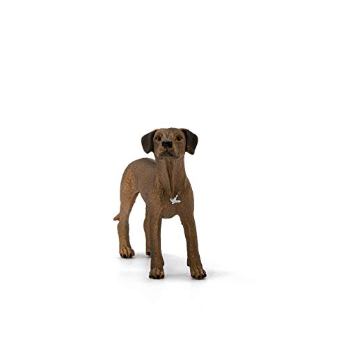 Schleich - Rhodesian Ridgeback (13895)