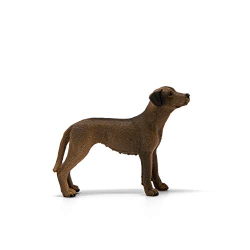 Schleich - Rhodesian Ridgeback (13895)