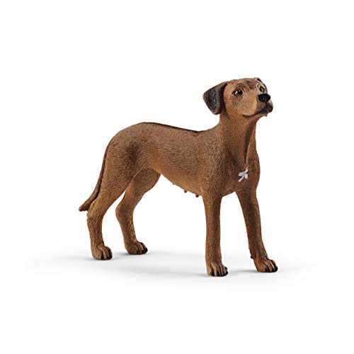 Schleich - Rhodesian Ridgeback (13895)