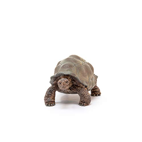 Schleich - Tortuga gigante (14824)