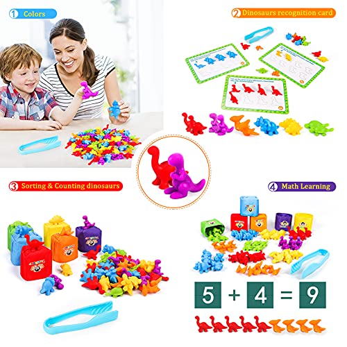 Tacobear Juguetes Montessori Juguetes Contar Dinosaurio de Colores Coordinados con Tazas y Tarjetas de Aprendizaje Motoras Finas Juego Educativos Montessori Juguete para Niños Bebés 2 3 4 5 6 años