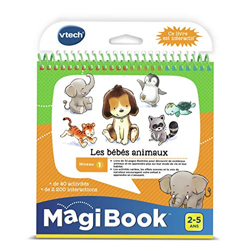 VTech- MagiBook, 480005 - Versión FR