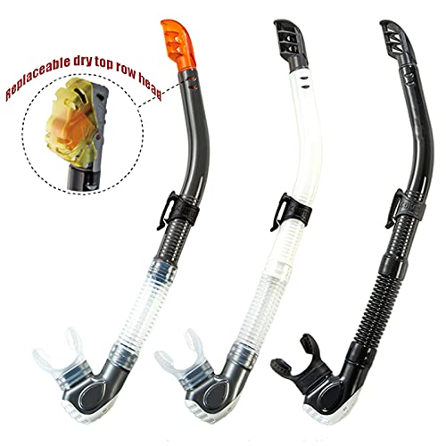 XYZLEO Kit de máscara y Tubo para Snorkelling, Set De Snorkel Dry Top,Vidrio Templado Y Vista Panorámica con Soporte para Cámara Deportiva, Set de Buceo Máscara de Buceo Snorkel Set, Unisex Adulto