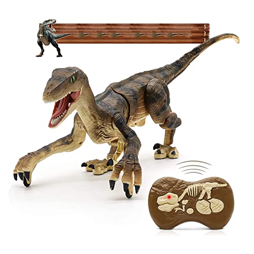 AGWW RC Dinosaur Toys, Electronic RC Dinosaur Toy, Realistic Walking, and Roaring Velociraptor Dinosaurs Toys Birthday Gifts (Yellow)