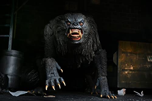 American Werewolf In London - Figura de acción de 17,7 cm (7 Pulgadas), diseño de The Ultimate Kessler Werewolf