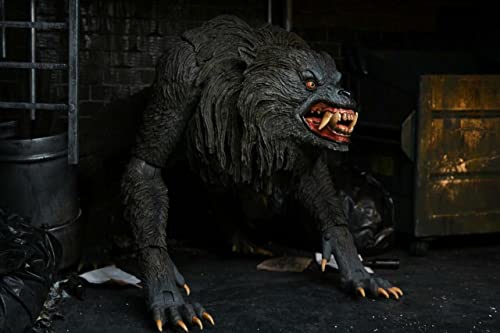 American Werewolf In London - Figura de acción de 17,7 cm (7 Pulgadas), diseño de The Ultimate Kessler Werewolf