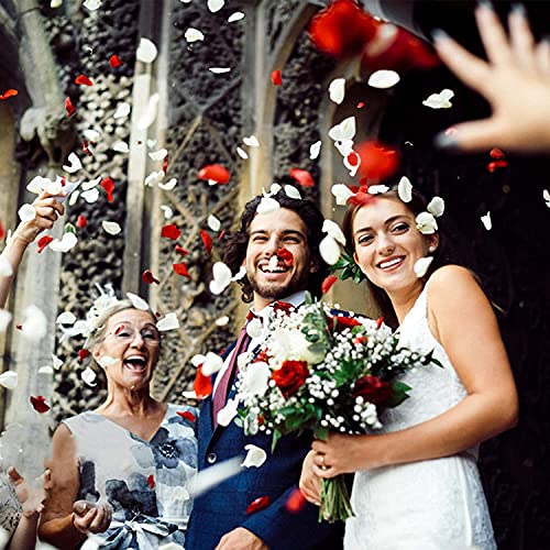 Anaoo 3000 Piezas Pétalos de Rosa Artificiales para Boda Decoración para el día de San Valentín, Proponer, Flores de Boda, Confeti, Dispersión de Mesa, Color Crema