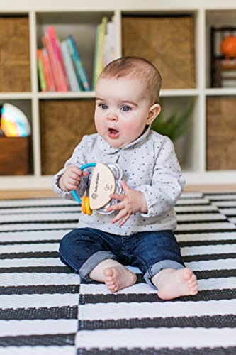 Baby Einstein, Hape, Tamborcito Tiny Tambourine