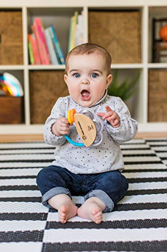 Baby Einstein, Hape, Tamborcito Tiny Tambourine