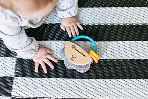 Baby Einstein, Hape, Tamborcito Tiny Tambourine