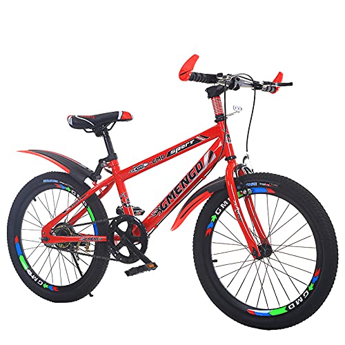 Bicicletas Para Niños 20/22 Pulgadas, Bicicletas De Cross-Country De Una Velocidad Para Niños, Niñas Y Adolescentes, MTB Para Estudiantes Con Marco De Acero Al Carbono, Regalos Para Niños,06,22"